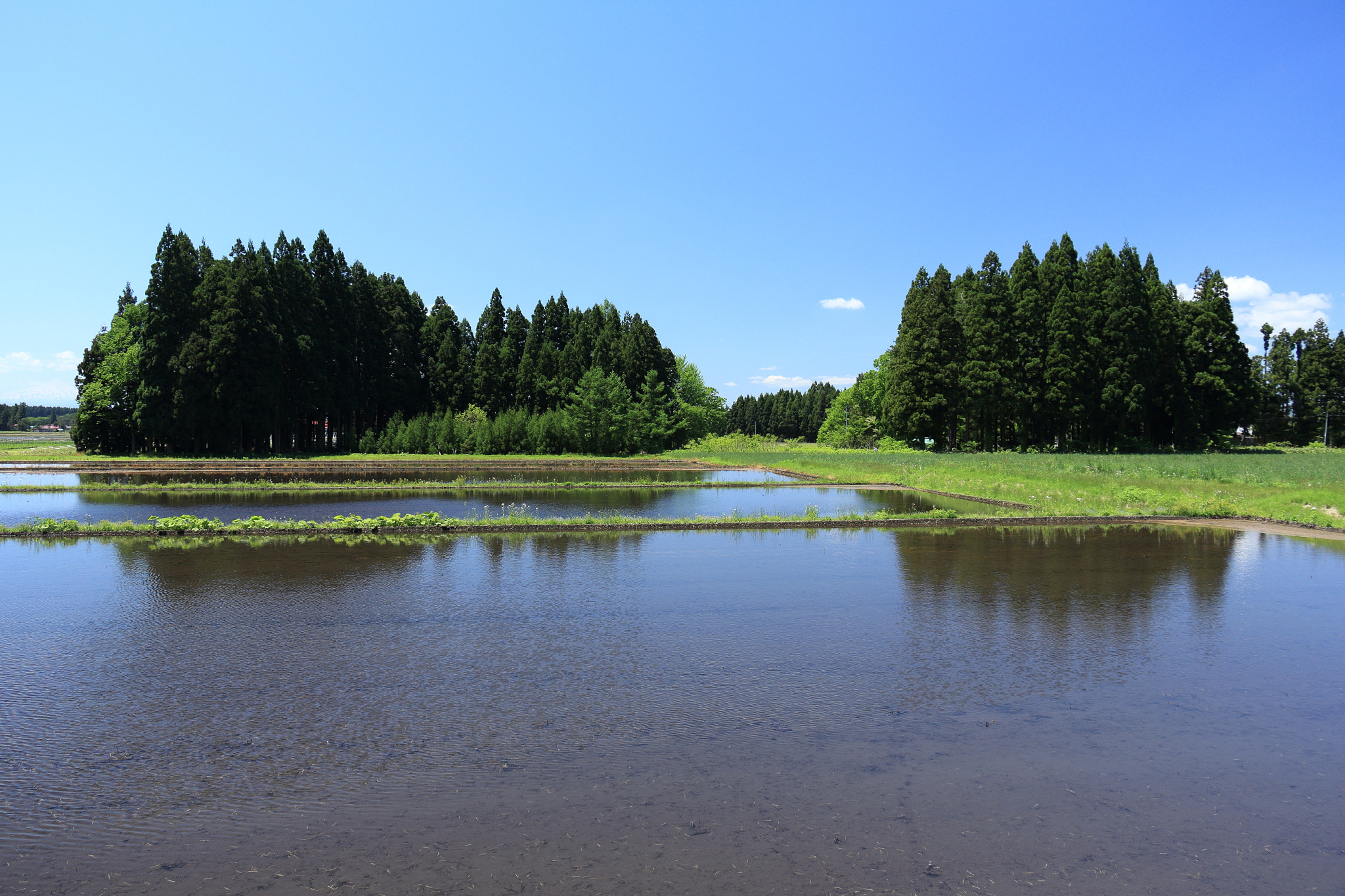 Canon EOS 60D sample photo. Aktia japan nature photography