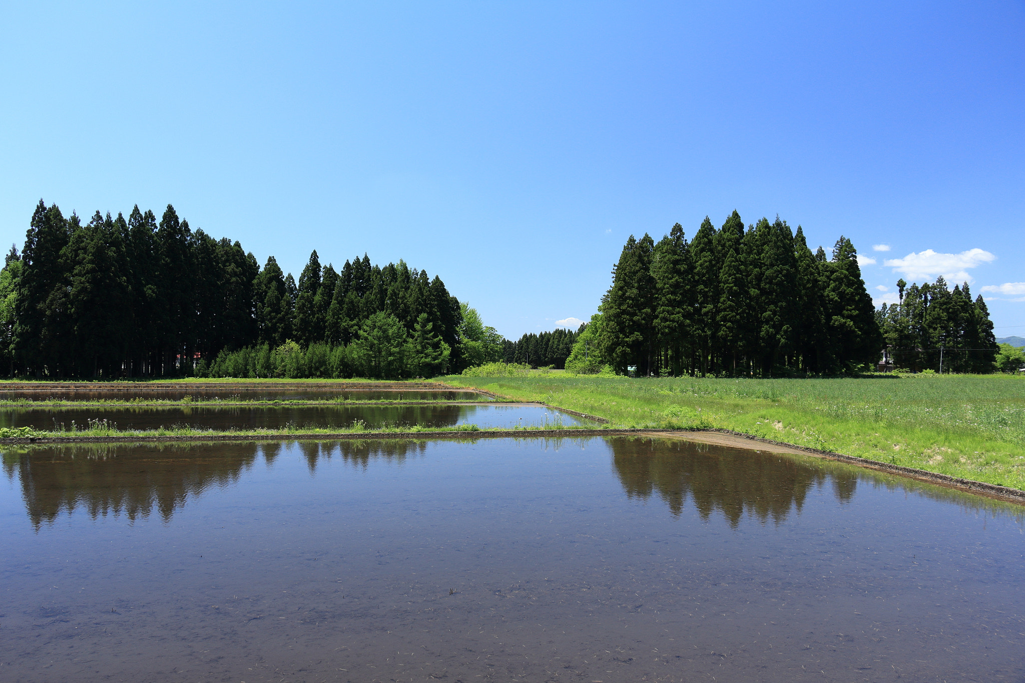 Canon EOS 60D sample photo. Aktia japan nature photography