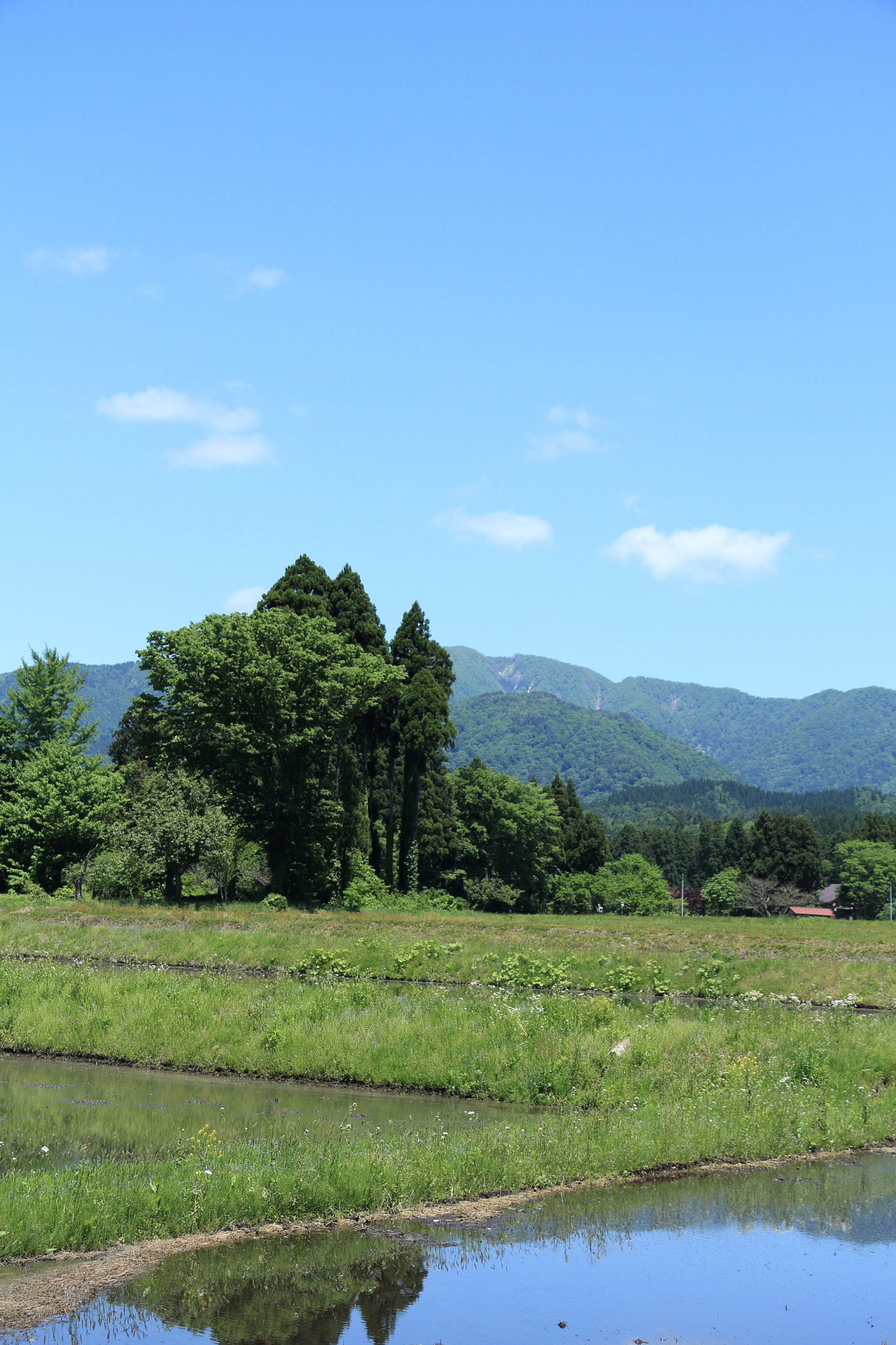 Canon EOS 60D + Canon EF-S 18-135mm F3.5-5.6 IS STM sample photo. Aktia japan nature photography