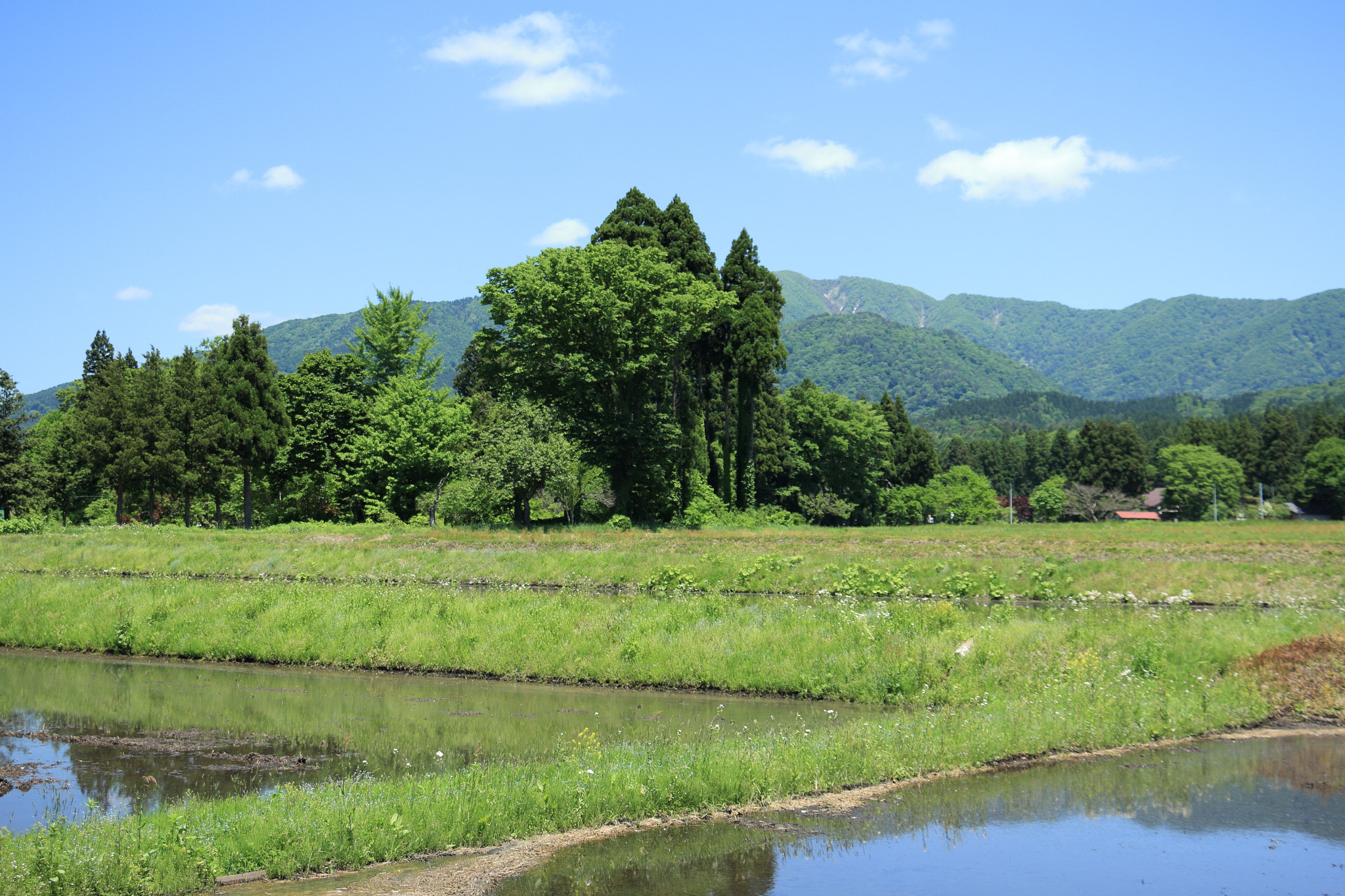 Canon EOS 60D + Canon EF-S 18-135mm F3.5-5.6 IS STM sample photo. Aktia japan nature photography