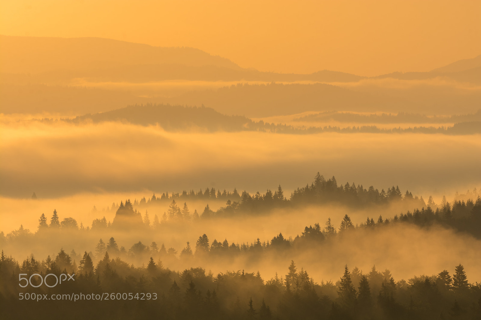 Nikon D7100 sample photo. Fog islands photography