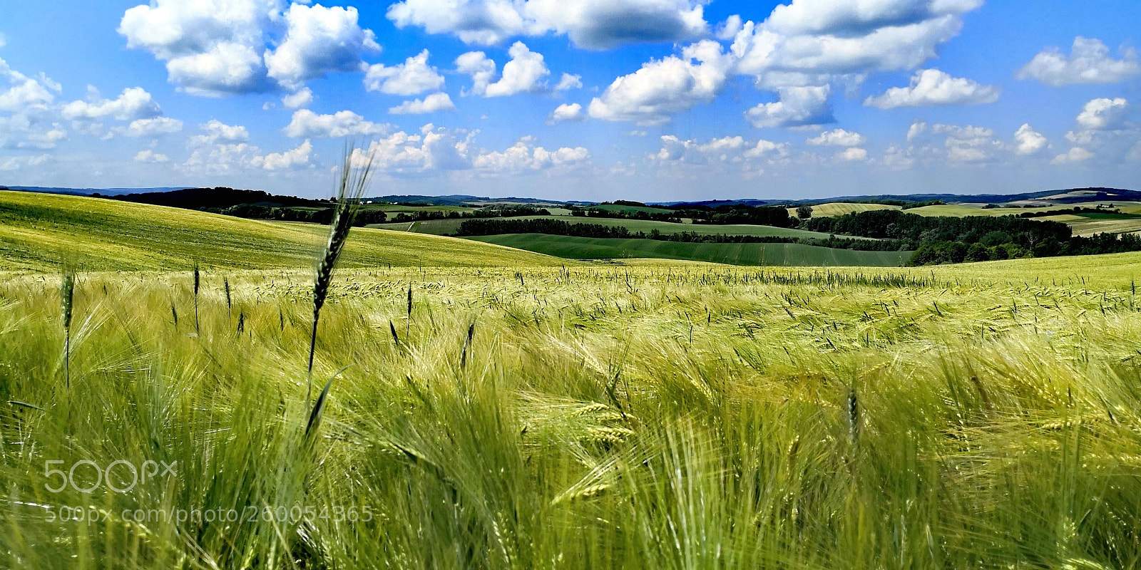 HUAWEI Mate 10 Pro sample photo. Green waves under the photography