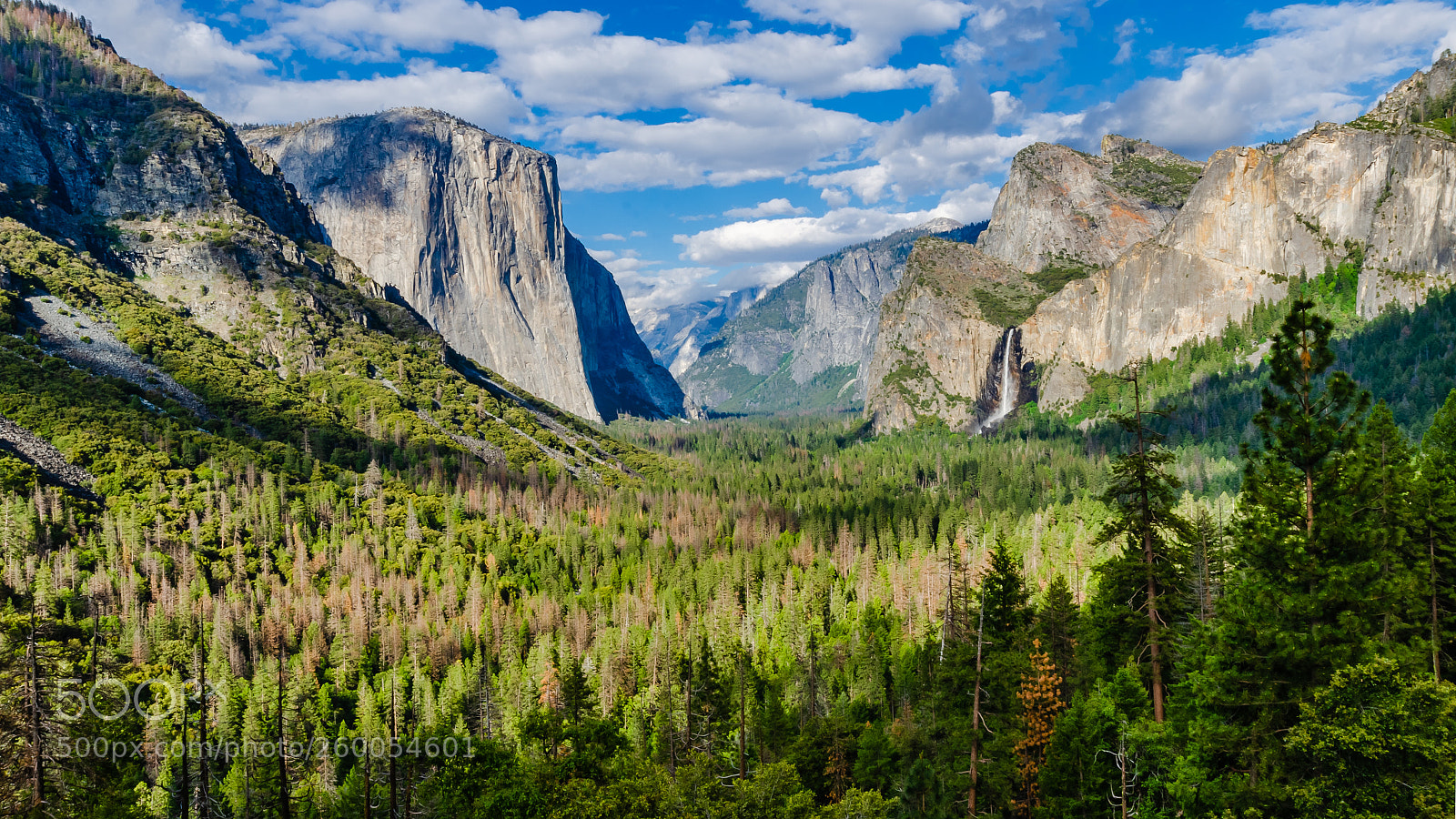 Nikon D7000 sample photo. Yosemite valley photography