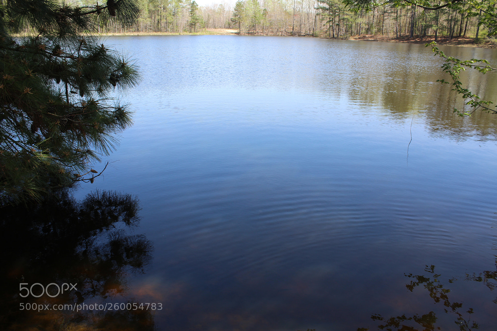 Canon EOS 1200D (EOS Rebel T5 / EOS Kiss X70 / EOS Hi) sample photo. Fishing hole photography