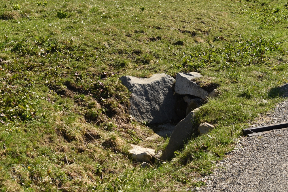 Nikon D5500 sample photo. 30.5.18 photography