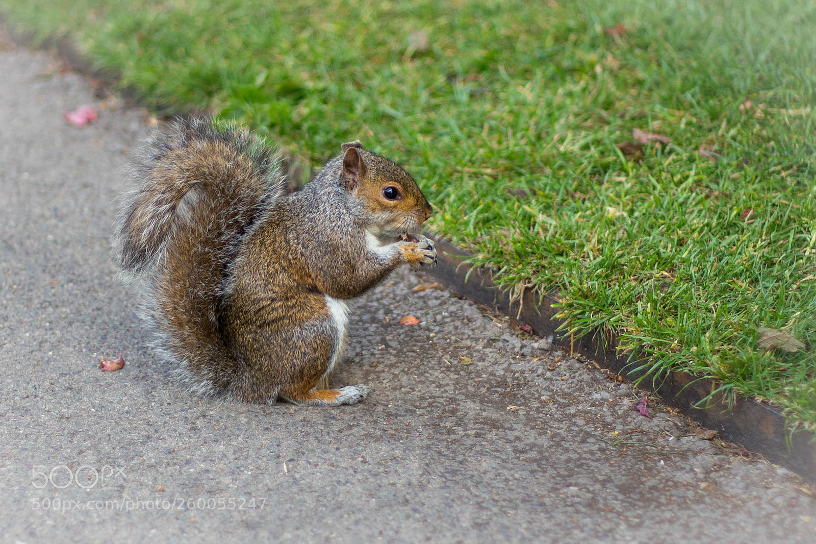 Canon EOS 6D sample photo. Dinner time photography