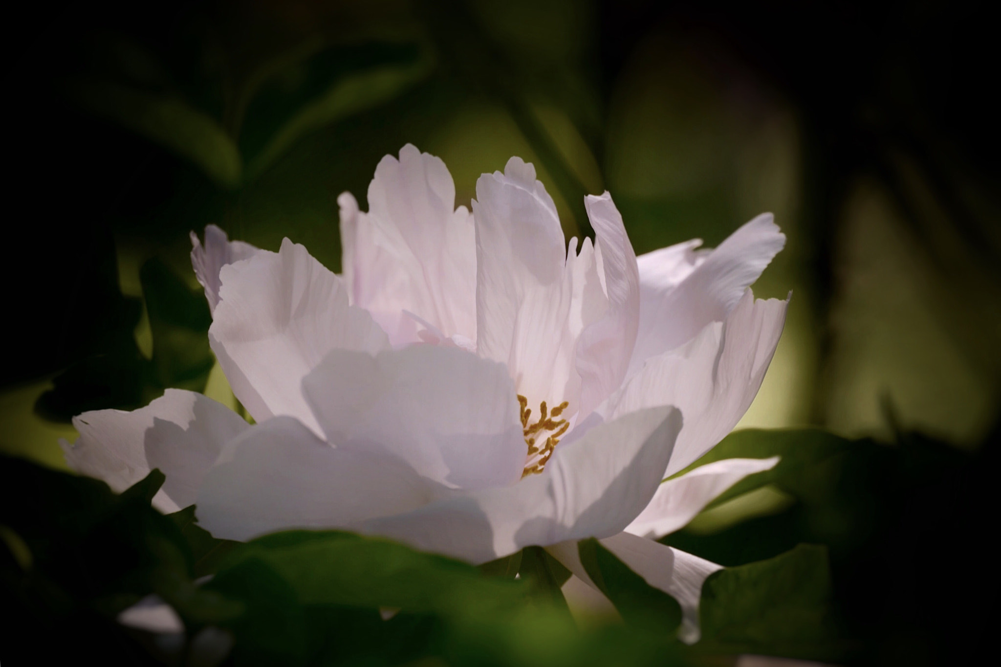 Leica SL (Typ 601) sample photo
