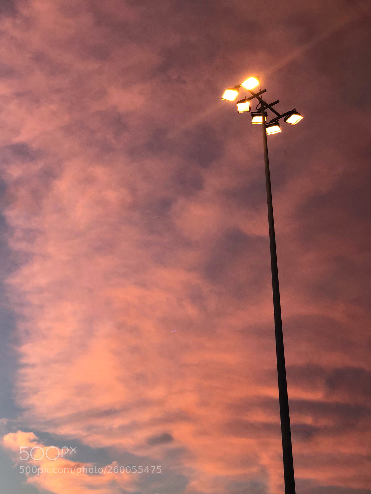 Apple iPhone X sample photo. Untitled photography