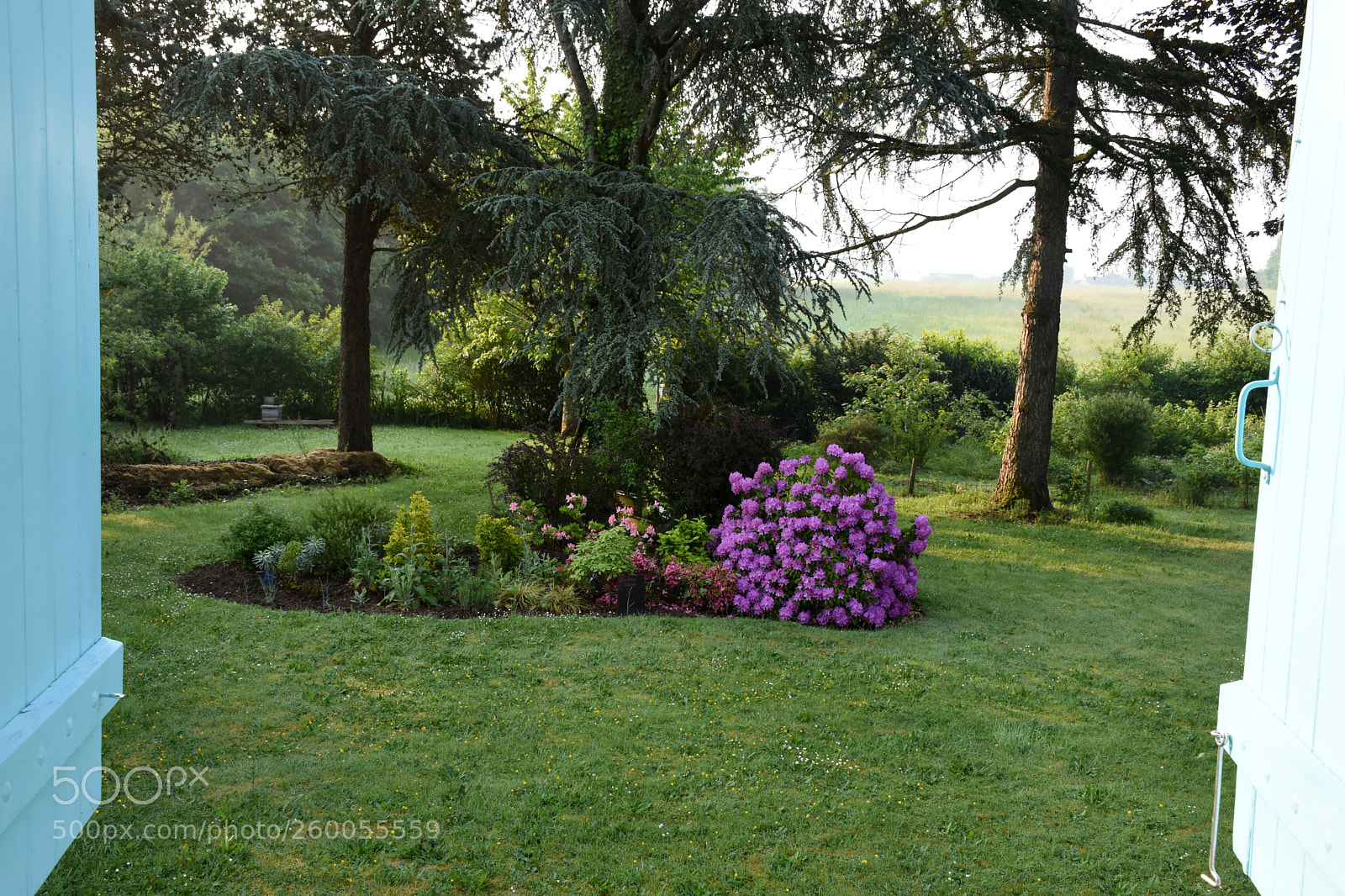 Nikon D7200 sample photo. Good morning france! photography