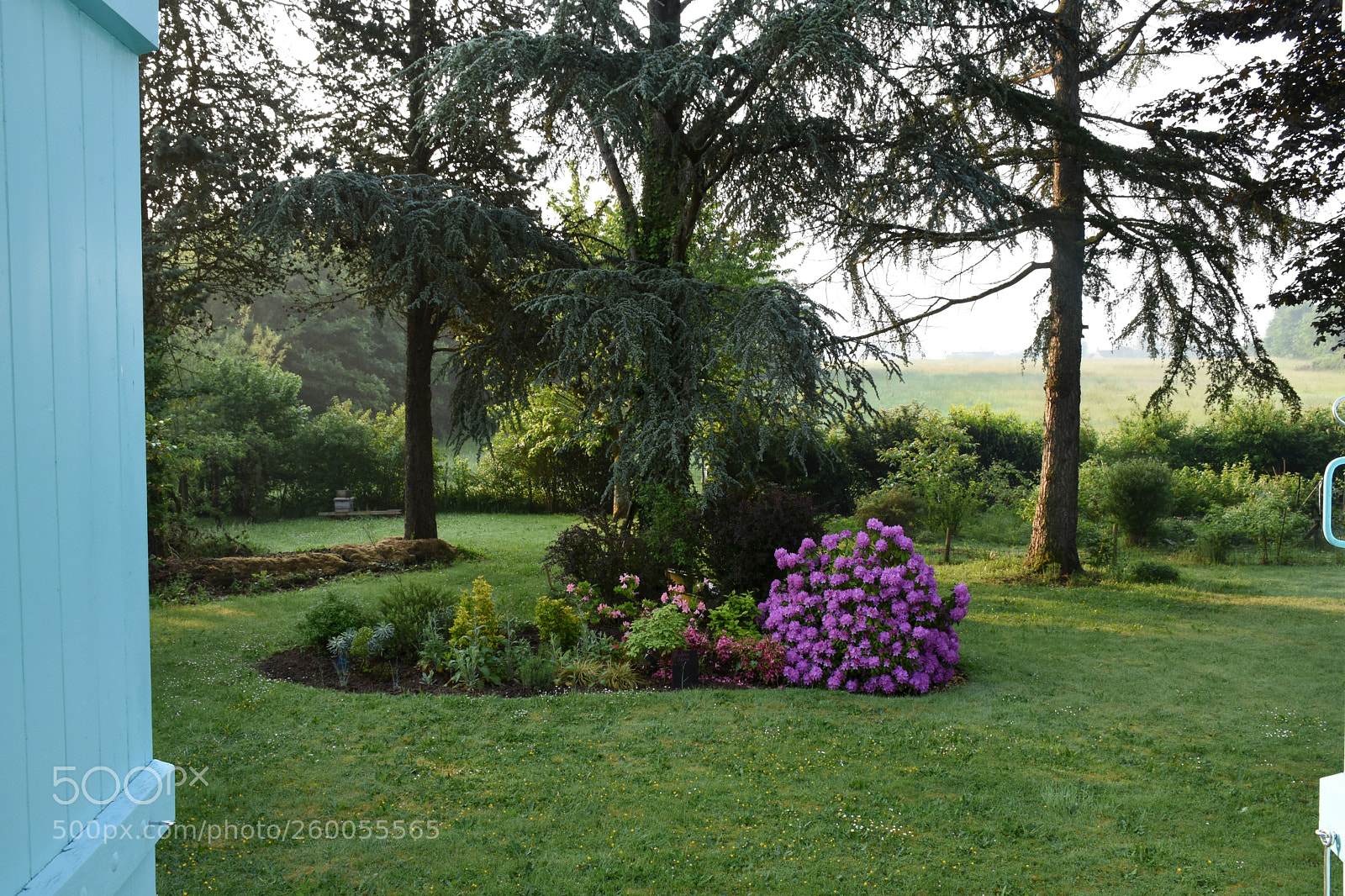 Nikon D7200 sample photo. Good morning france! photography