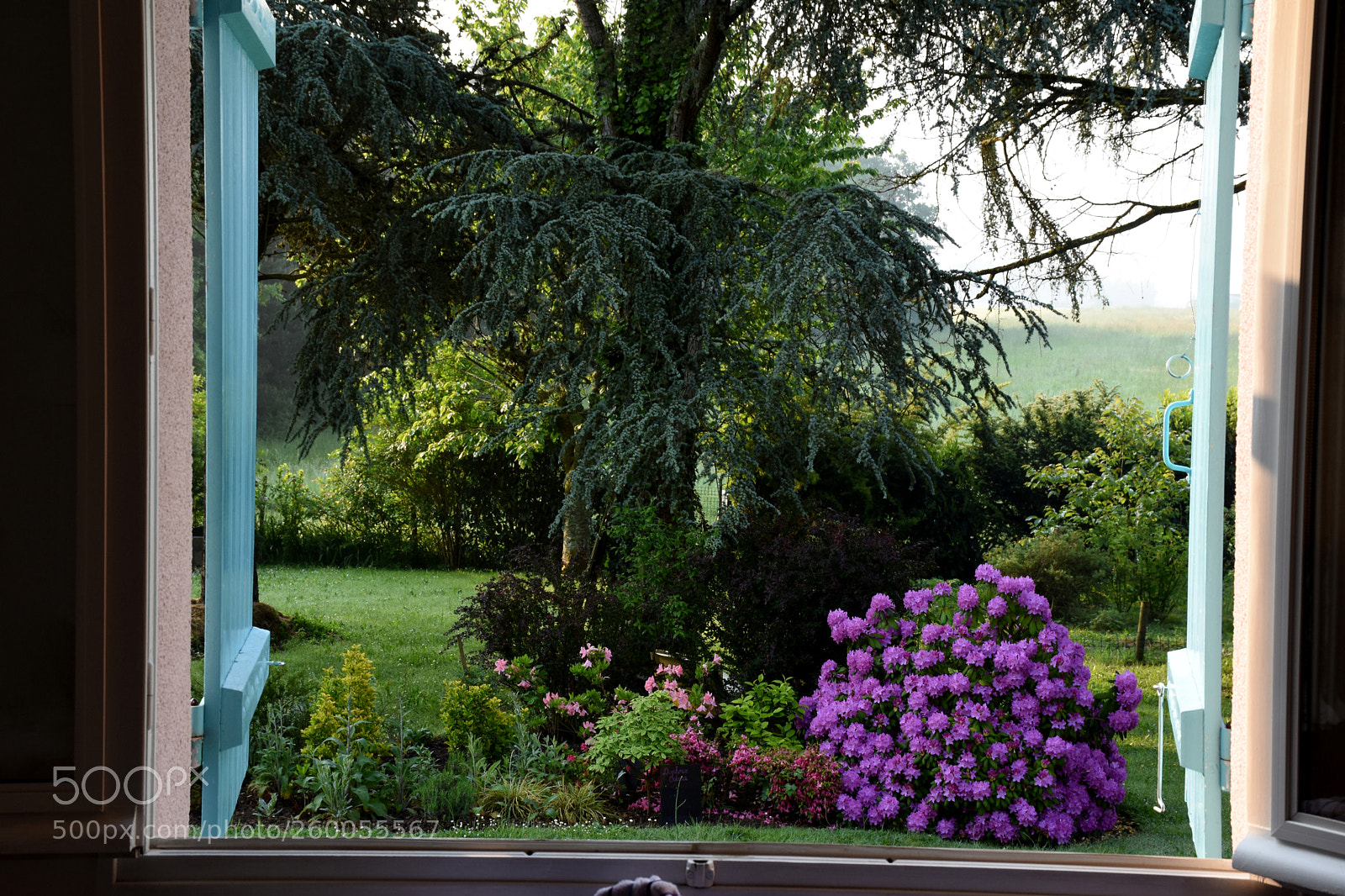 Nikon D7200 sample photo. Good morning france! photography