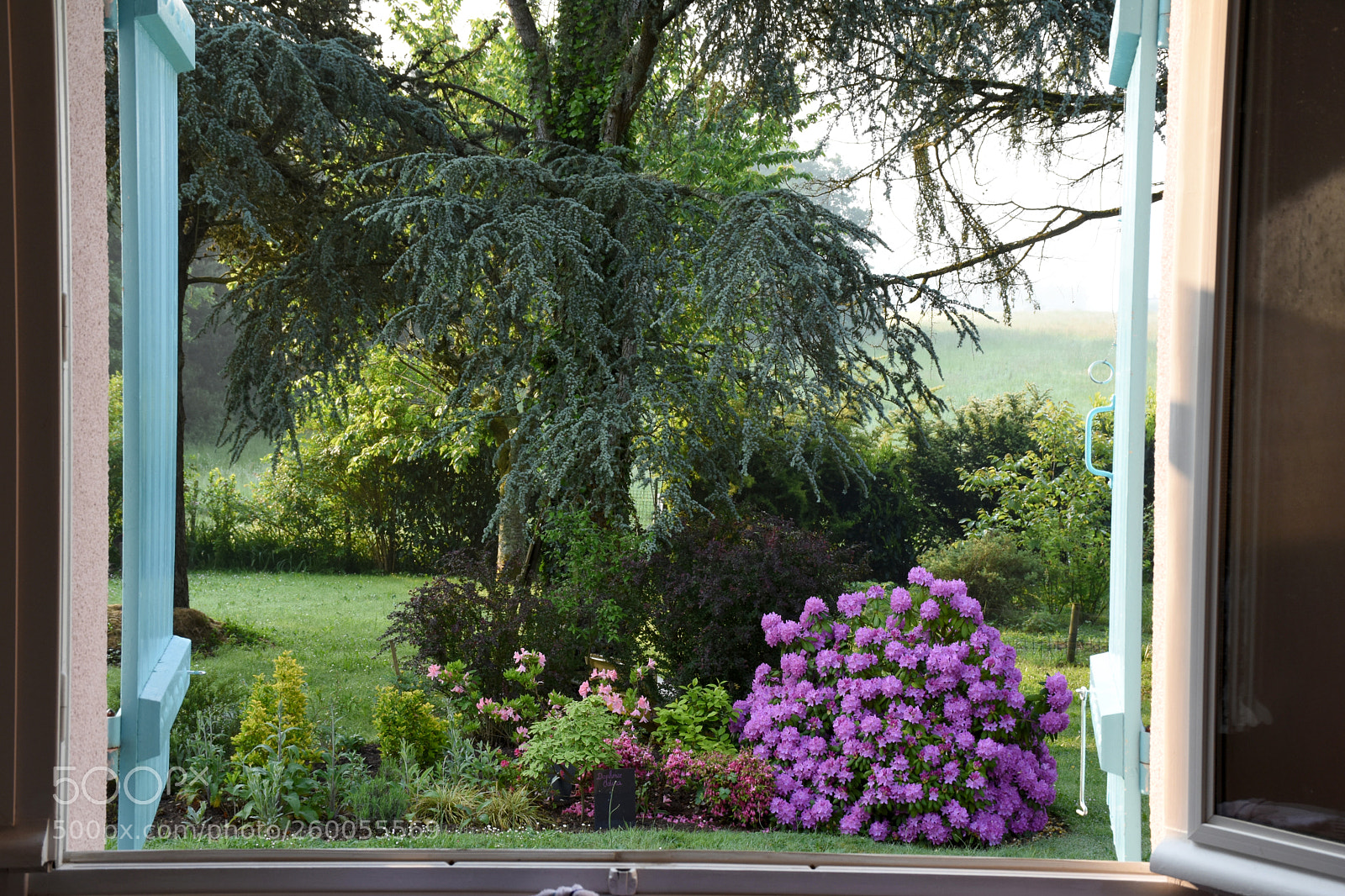 Nikon D7200 sample photo. Good morning france! photography
