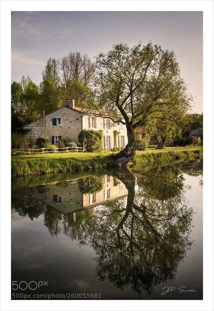 Nikon D750 sample photo. Marais poitevin (sur ) vs photography