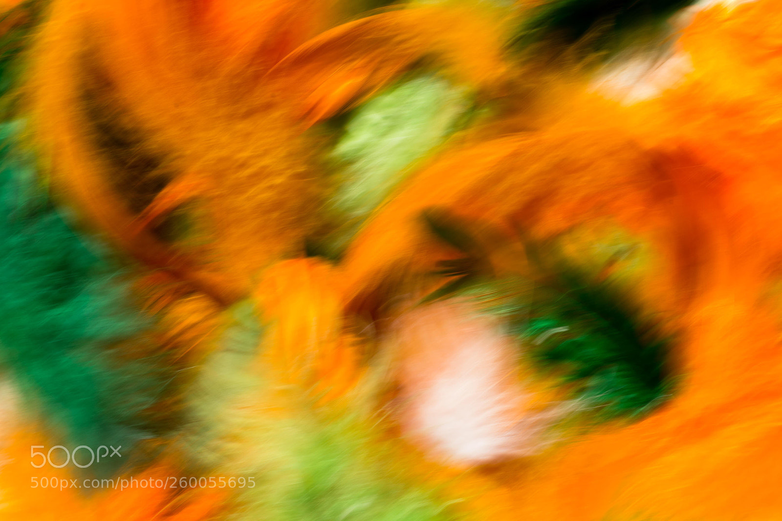 Nikon D7200 sample photo. Colours photography