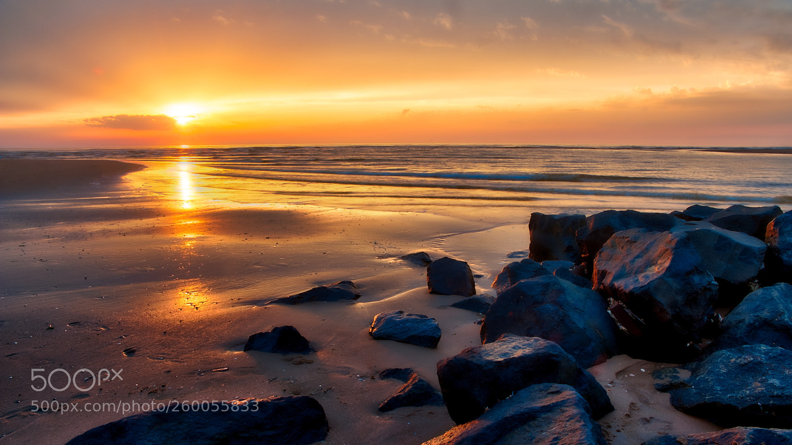 Nikon D700 sample photo. Golden sunset photography