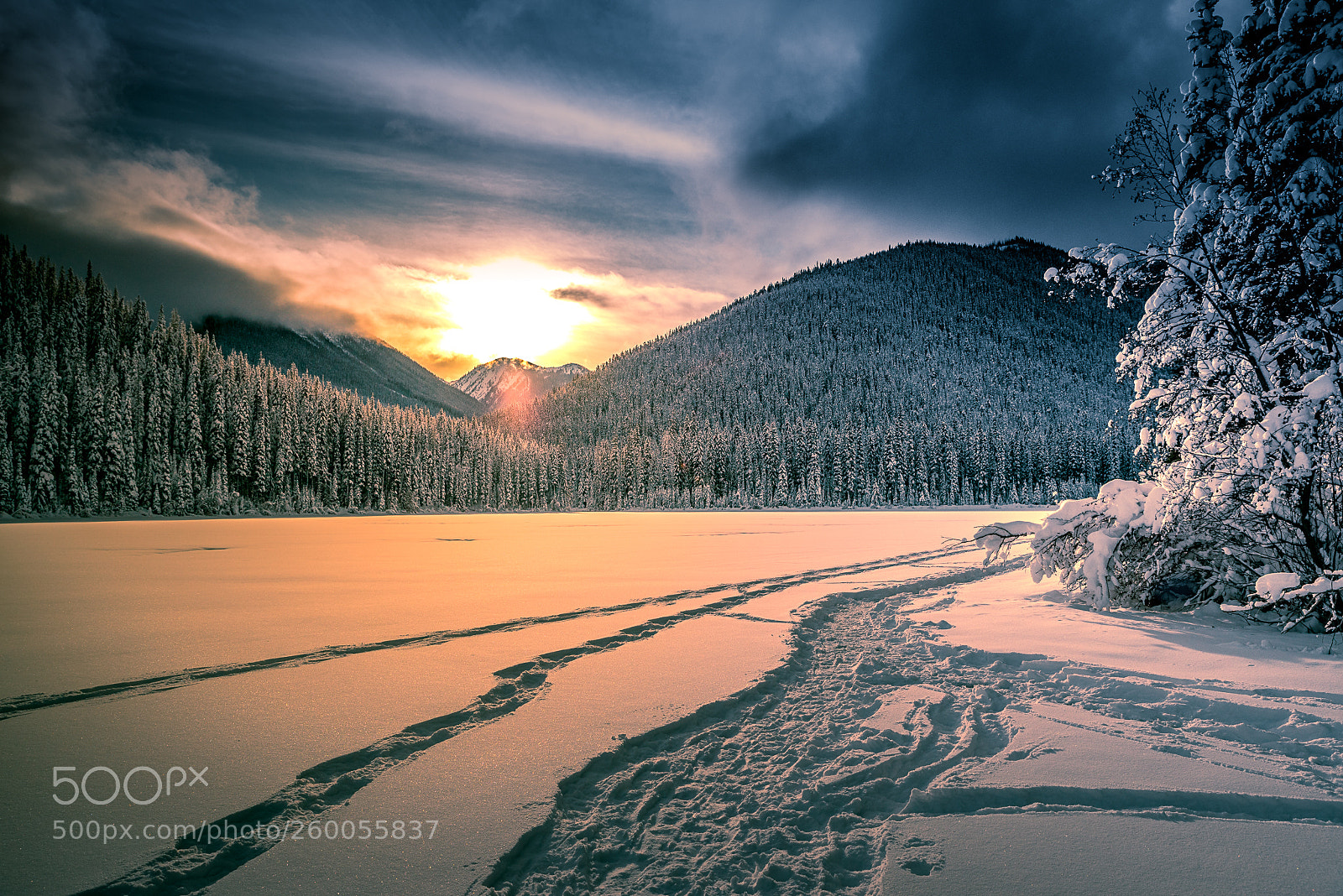 Nikon D750 sample photo. Romanticizing winter photography