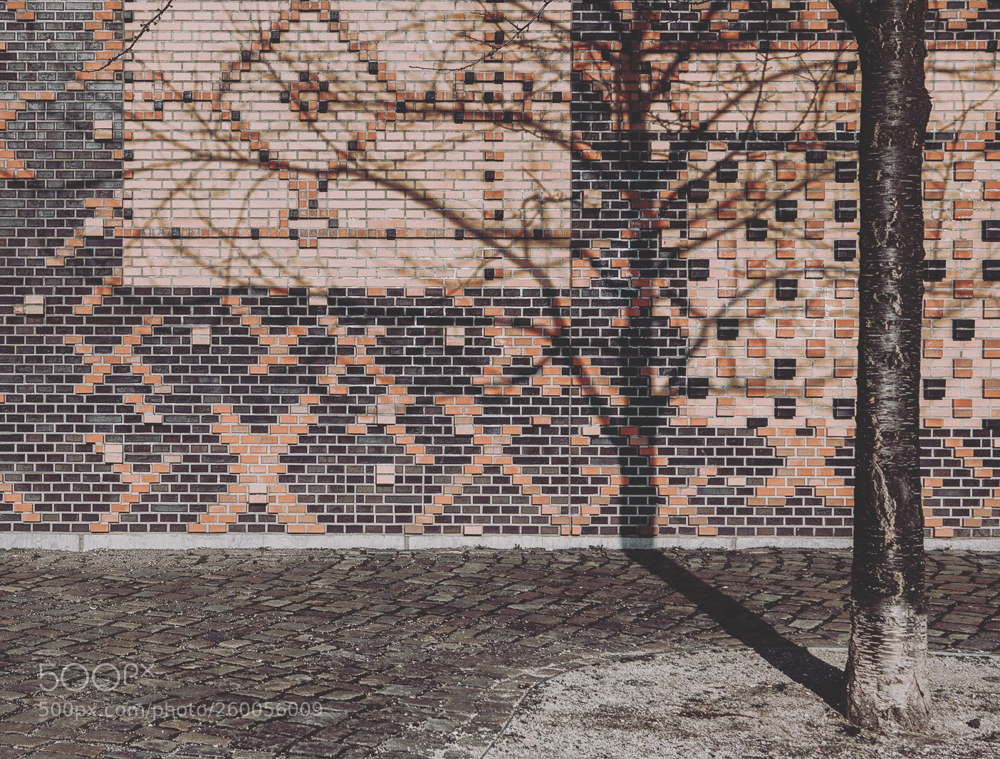 Canon EOS 5D Mark IV sample photo. The wall - hamburg photography
