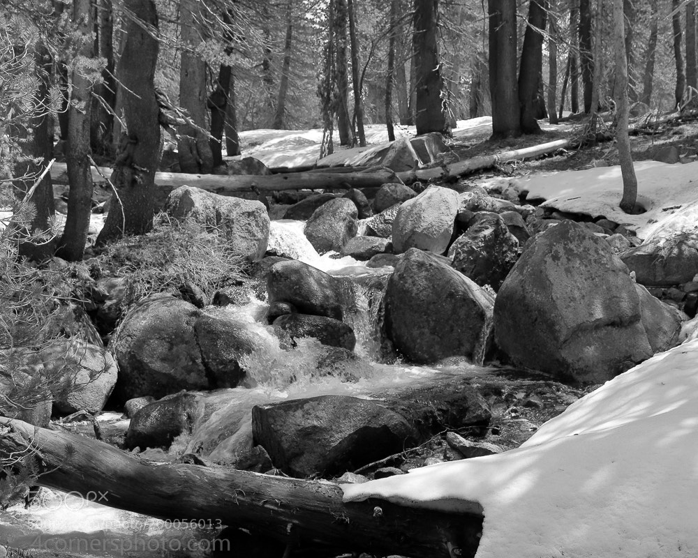 Canon EOS 6D sample photo. Spring snowmelt, tuolumne county photography