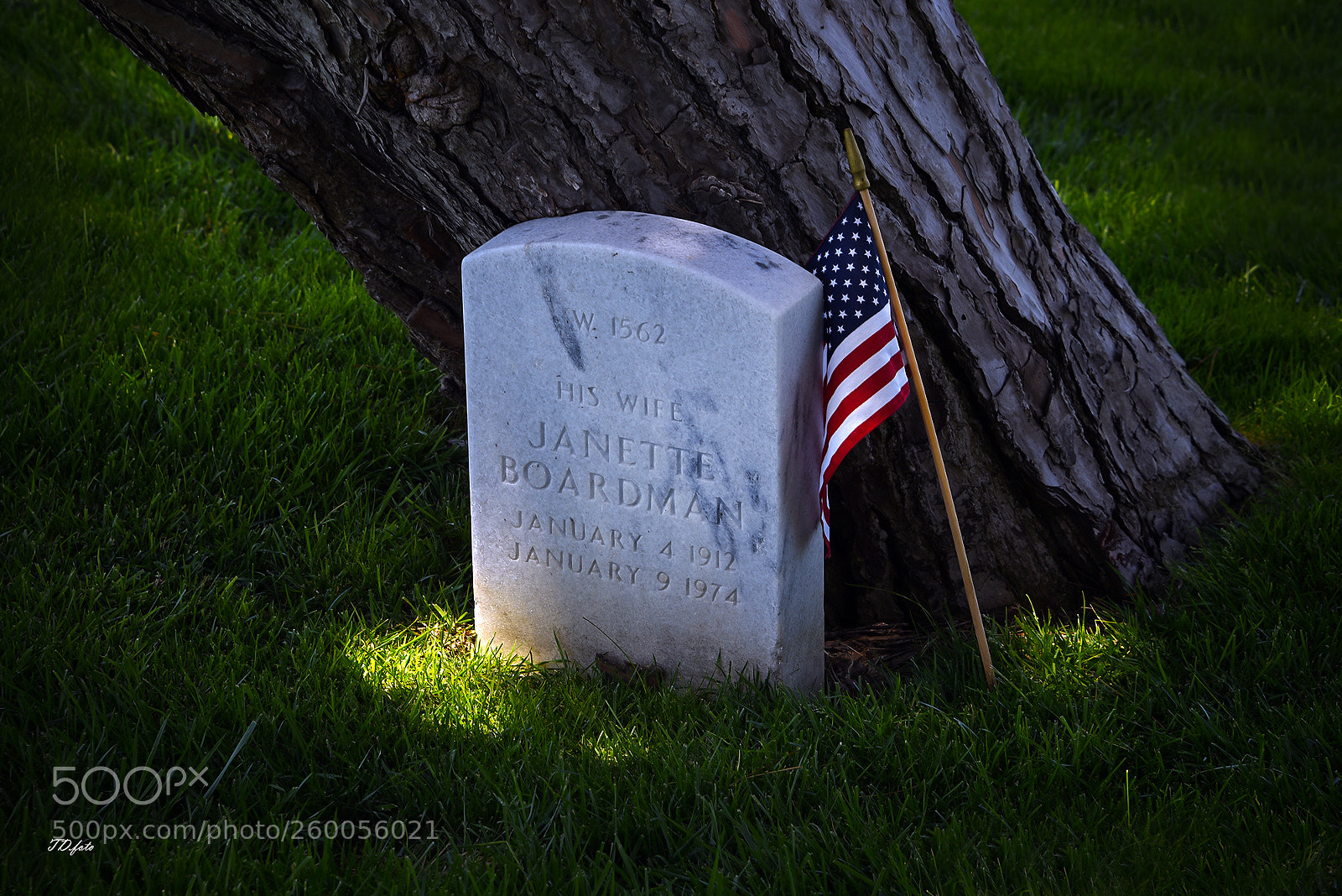 Nikon D750 sample photo. Memorial photography