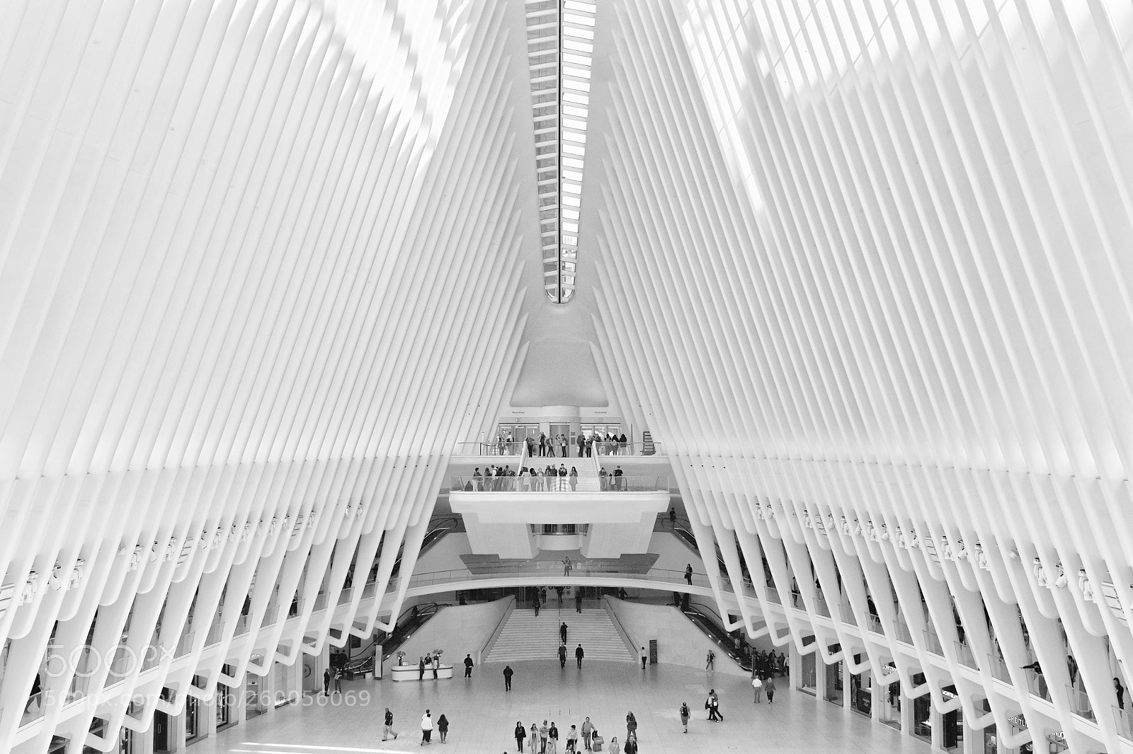 Nikon D7100 sample photo. The oculus photography