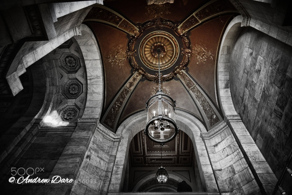 Nikon D810 sample photo. New york public library photography