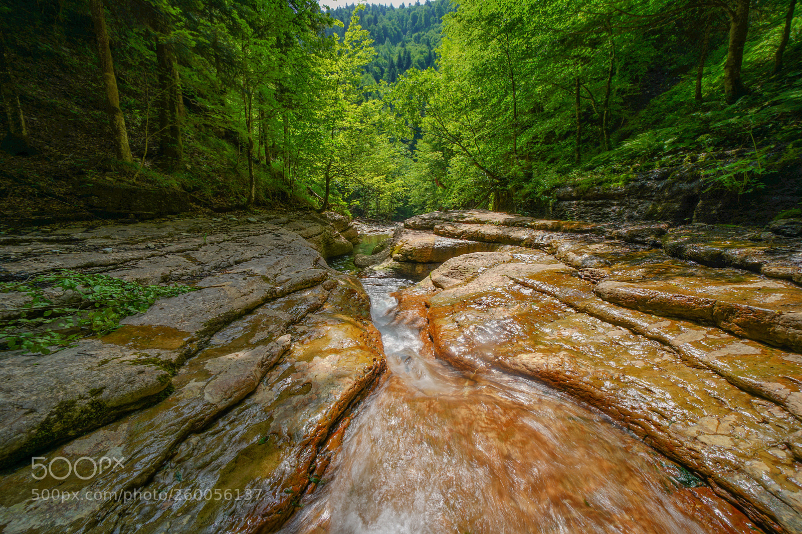 Sony a7R II sample photo. Tauglbach photography
