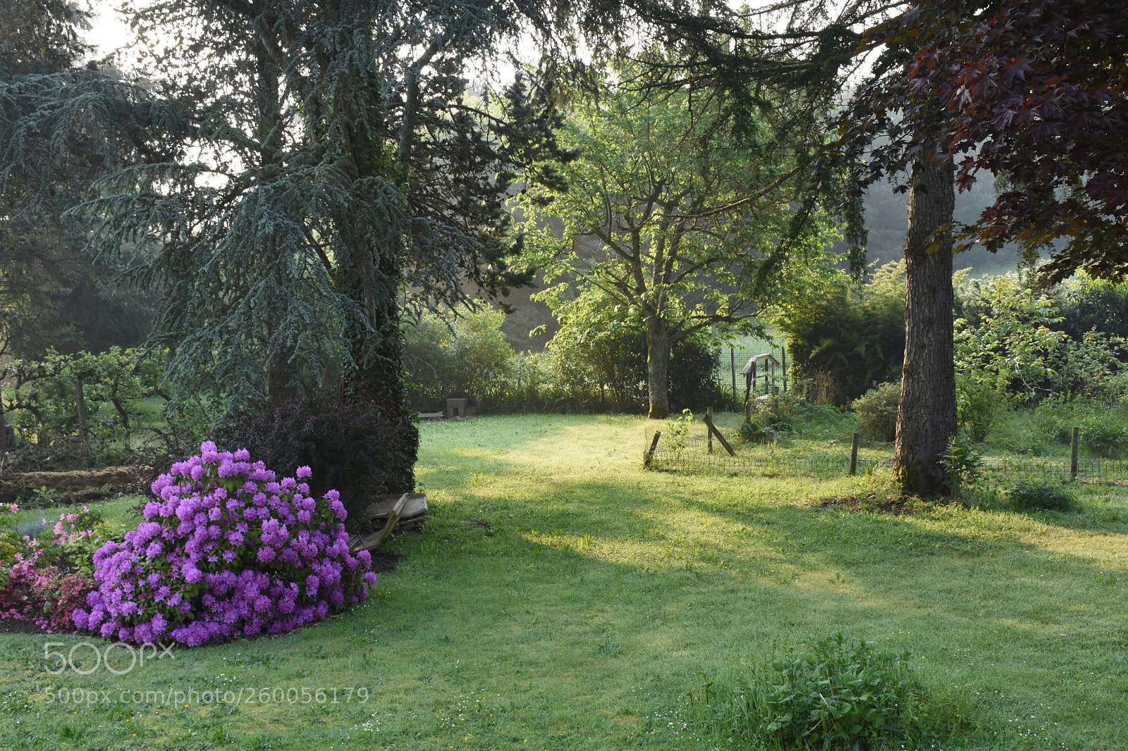 Nikon D7200 sample photo. Good morning france photography