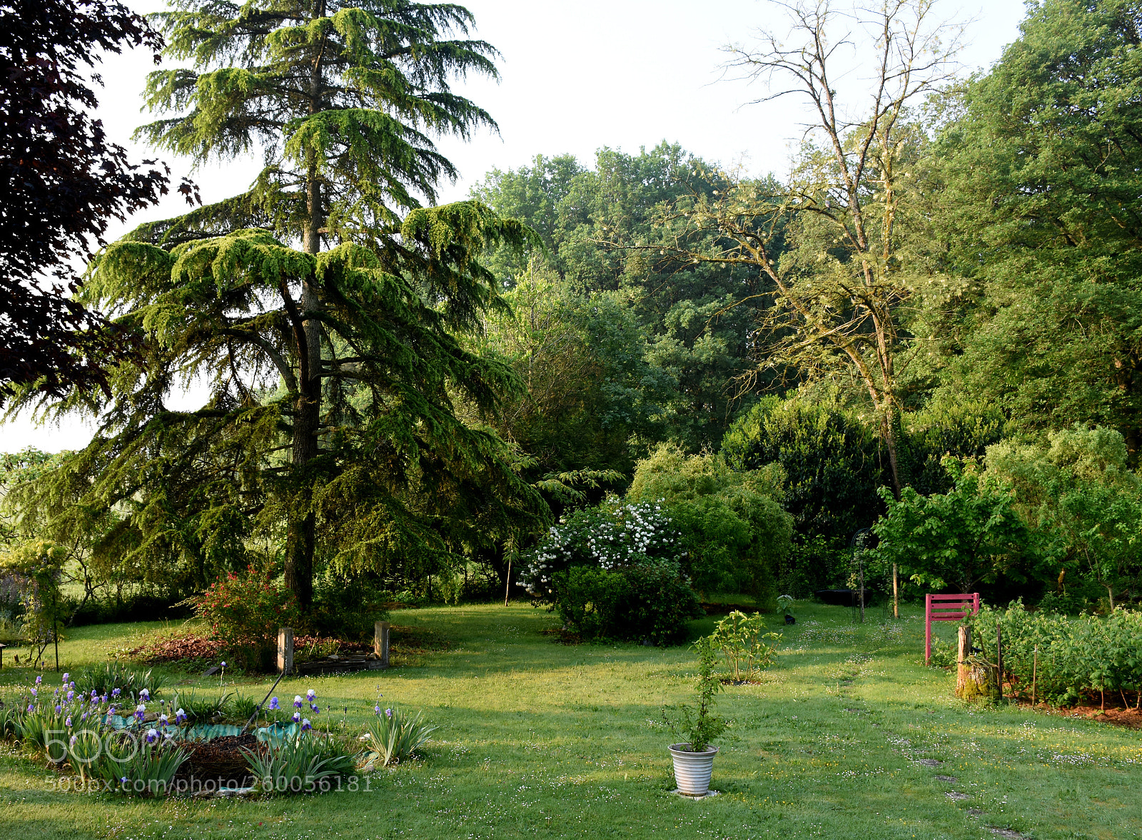 Nikon D7200 sample photo. Good morning france photography