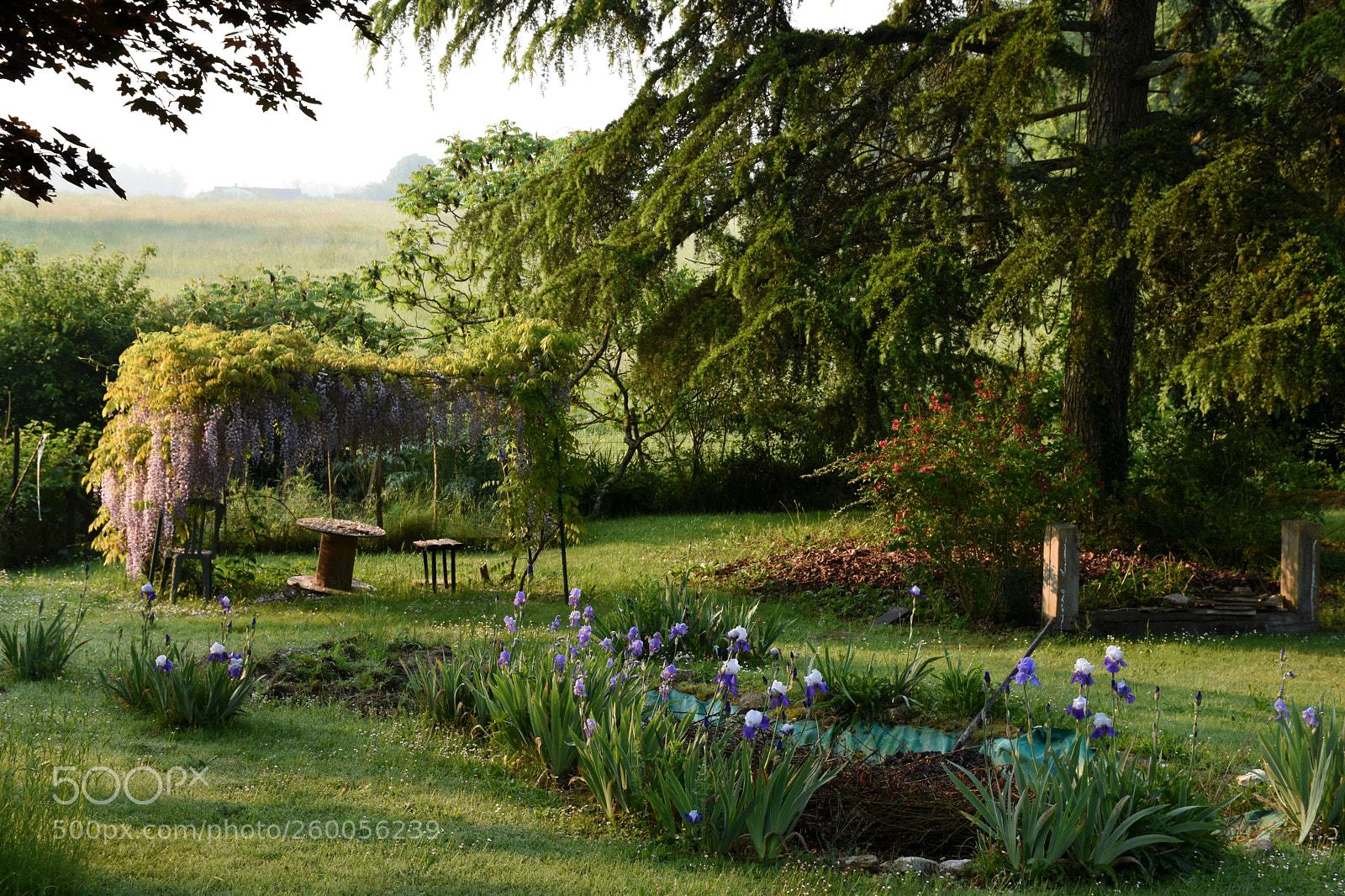 Nikon D7200 sample photo. Good morning france photography