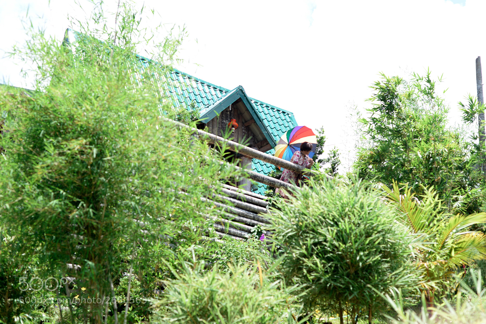 Nikon D610 sample photo. A stolen shot photography