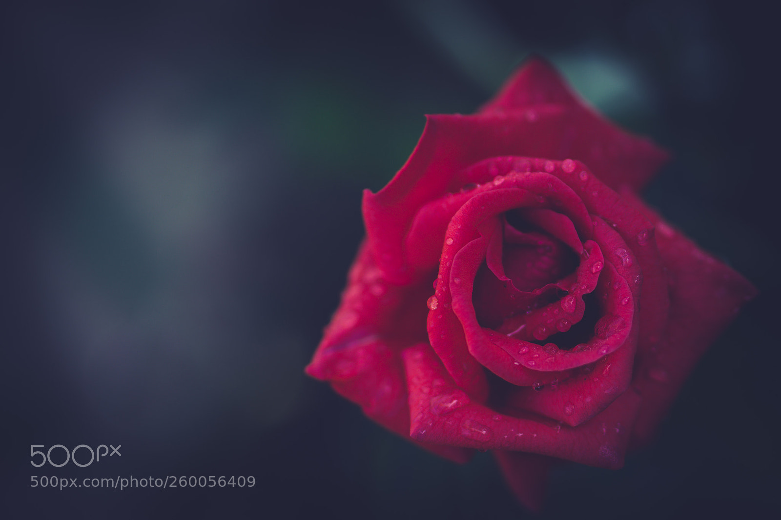 Nikon D7200 sample photo. Fine art photography