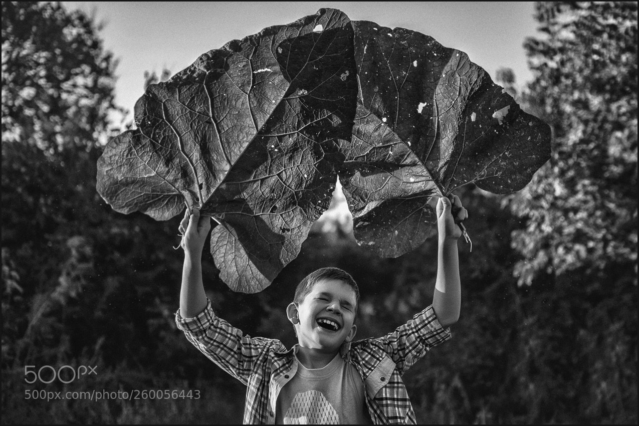 Nikon D90 sample photo. Антон photography