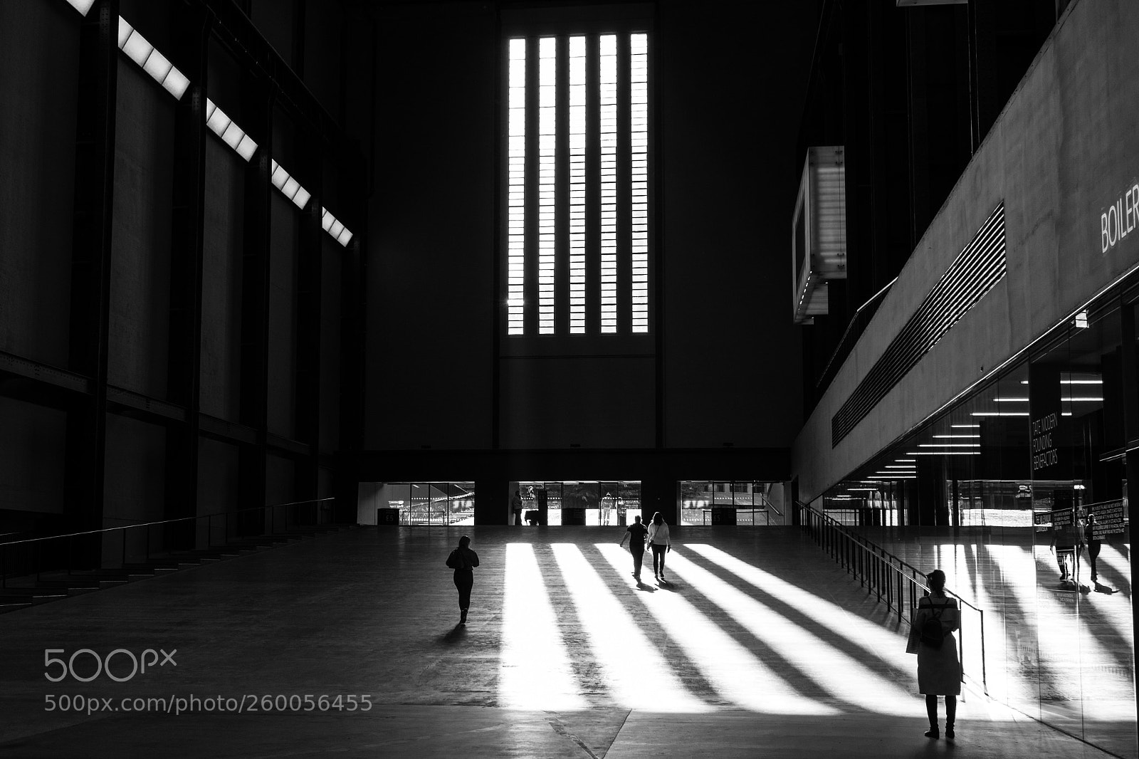 Nikon D5300 sample photo. Pillars of light photography