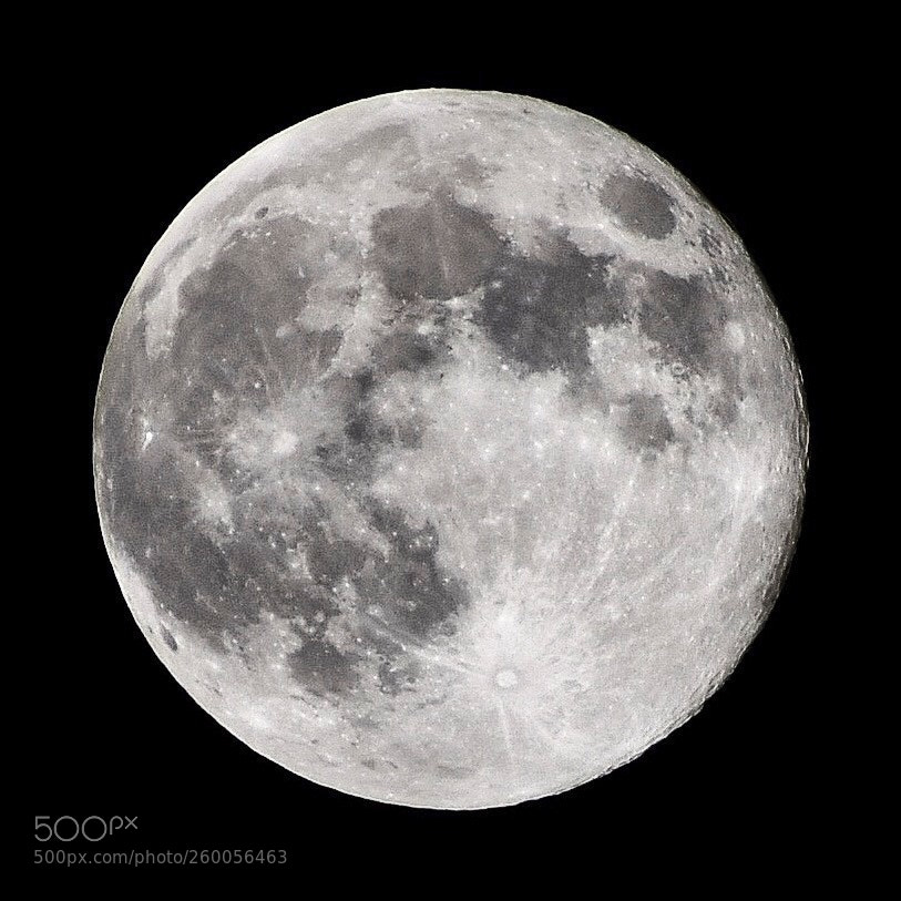 Nikon D7200 sample photo. Round photography
