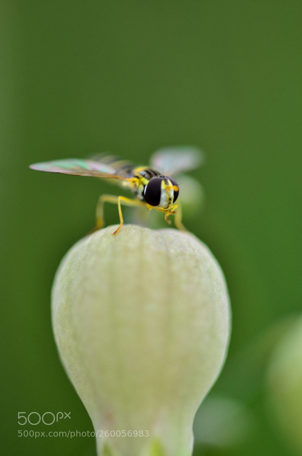 Nikon D7000 sample photo. Break photography