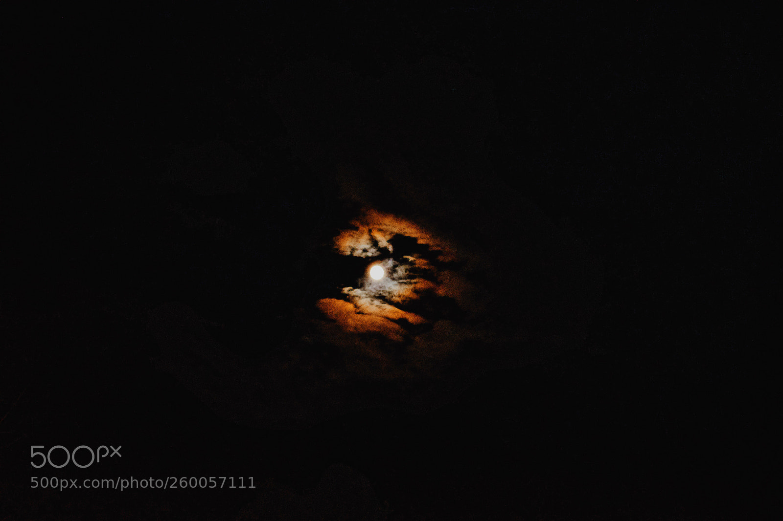 Nikon D5600 sample photo. One photography