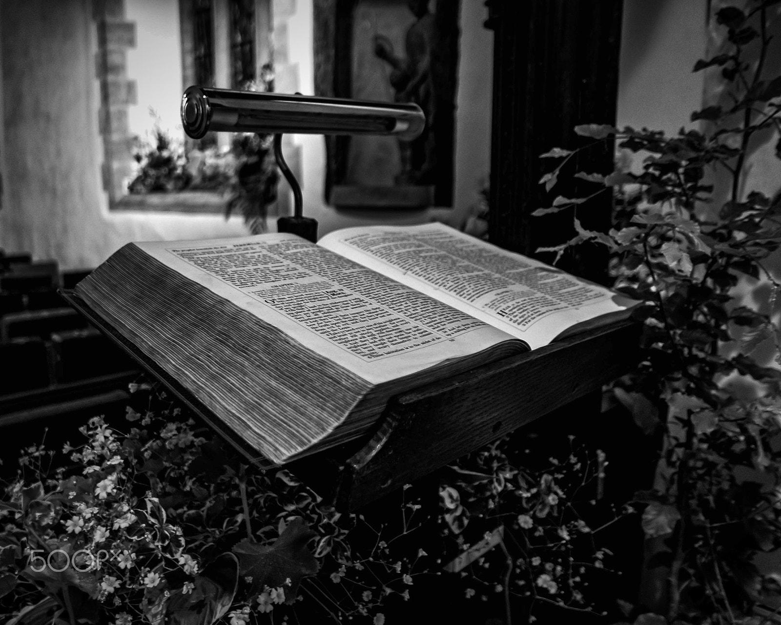 Leica D-Lux (Typ 109) sample photo. Thought of the day photography