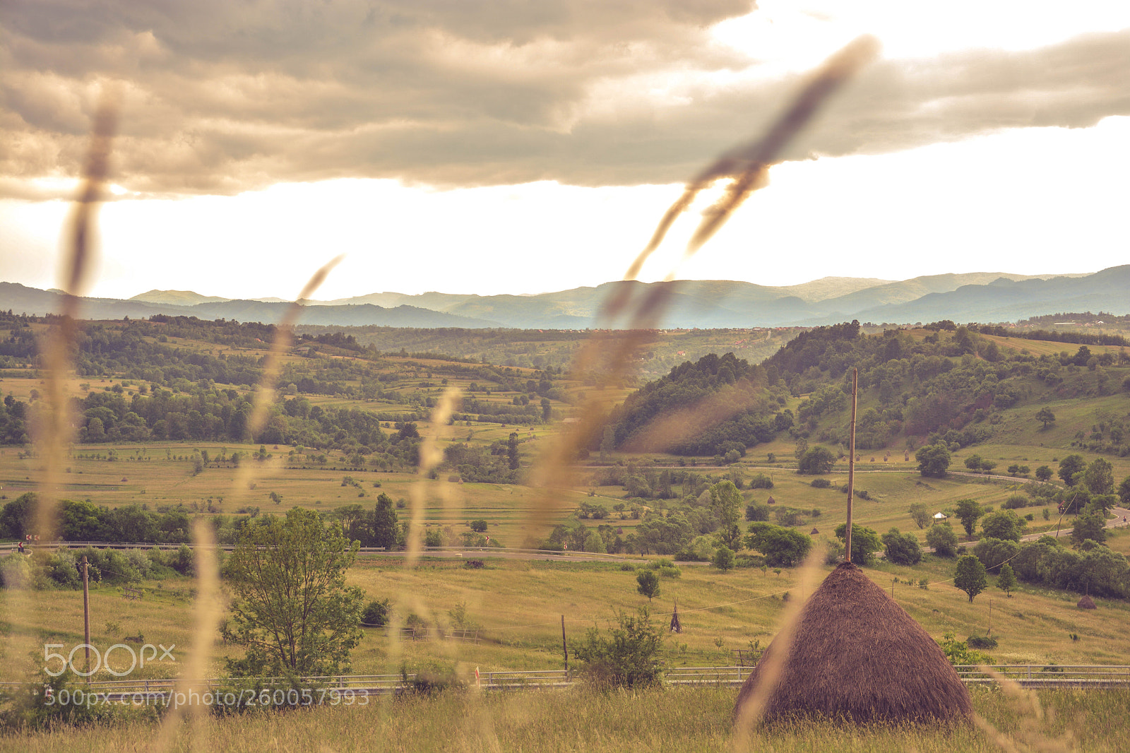 Nikon D7100 sample photo. Best view photography