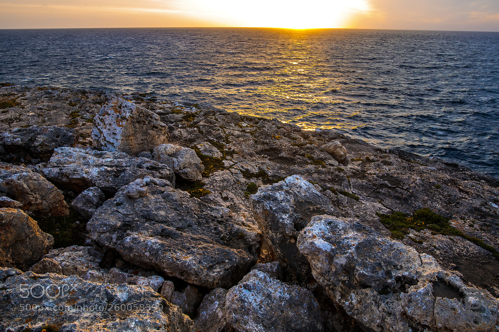 Canon EOS 5D Mark IV sample photo. Mornings photography