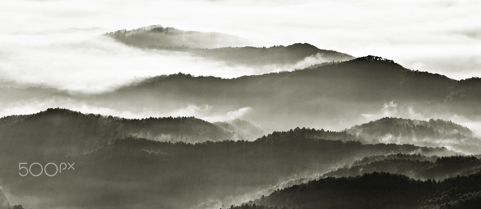 Nikon D810 sample photo. Mountains layer(b/w) photography
