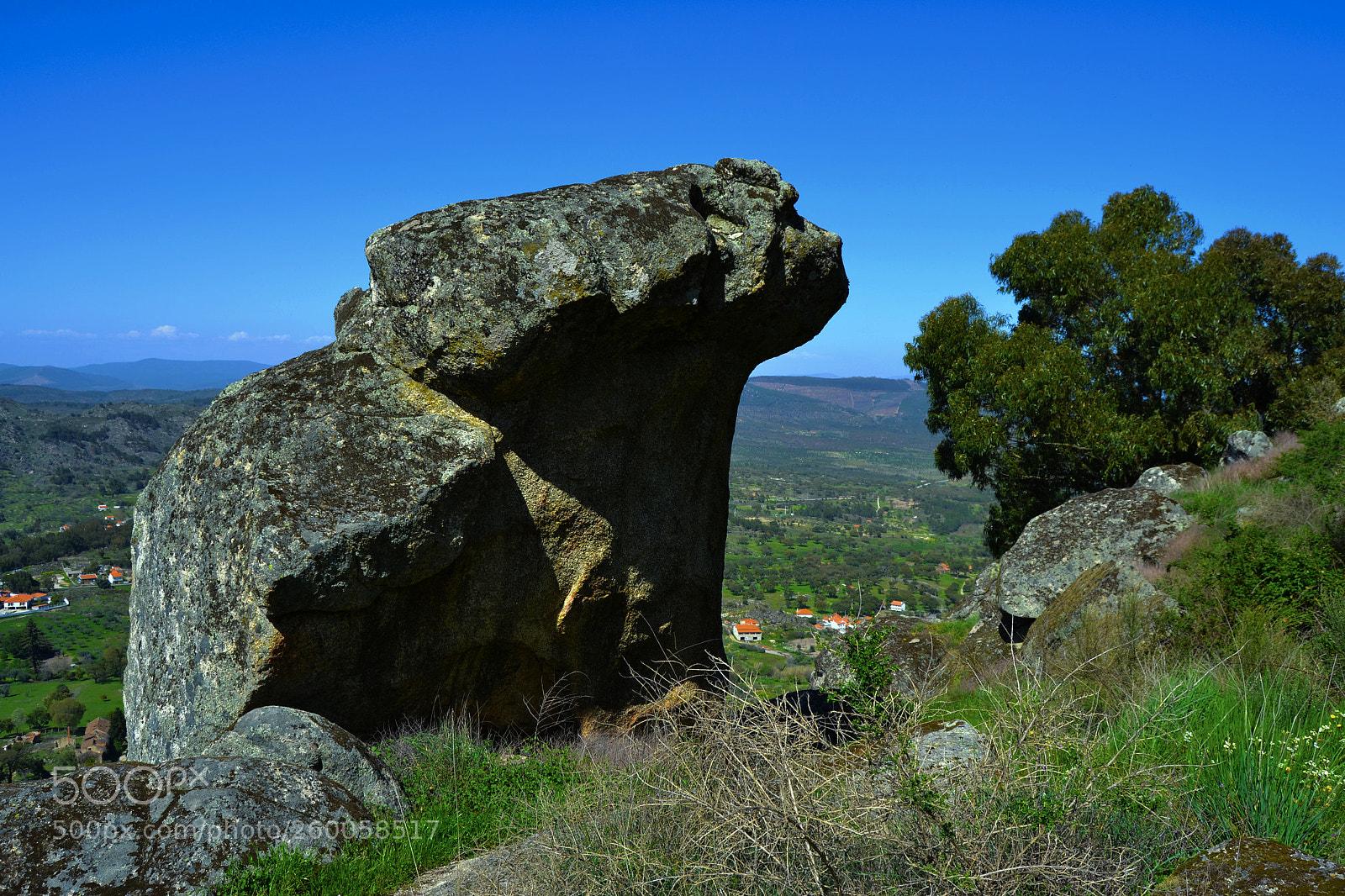 Nikon D3100 sample photo. Roca. monsanto photography