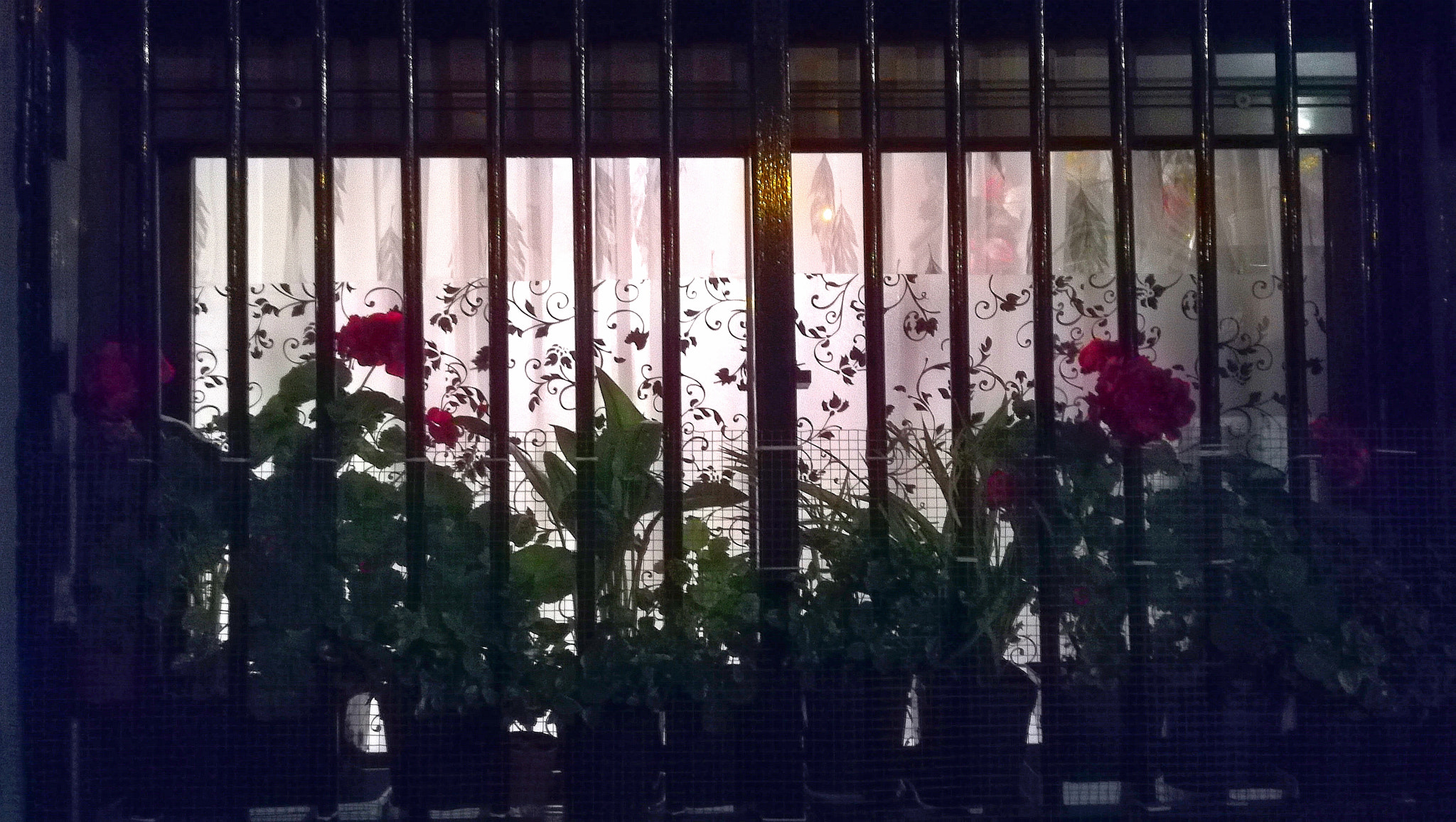 HUAWEI PRA-LX1 sample photo. In the still of the night photography