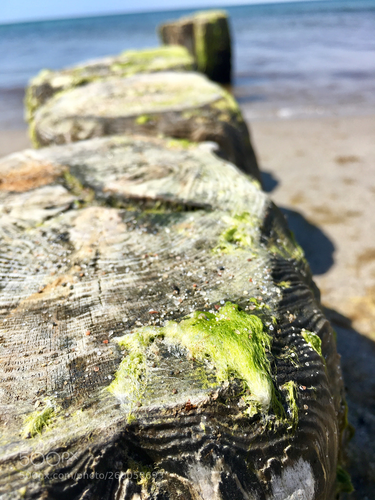 Apple iPhone 6s Plus sample photo. Untitled photography