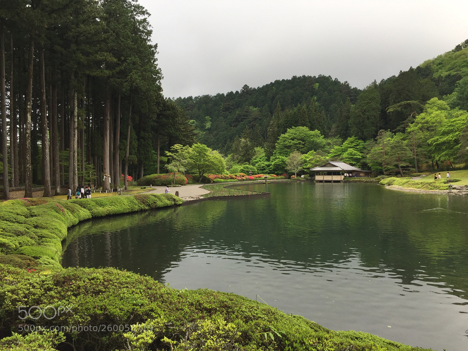 Apple iPhone 6 sample photo. Nikko japanese garden  photography