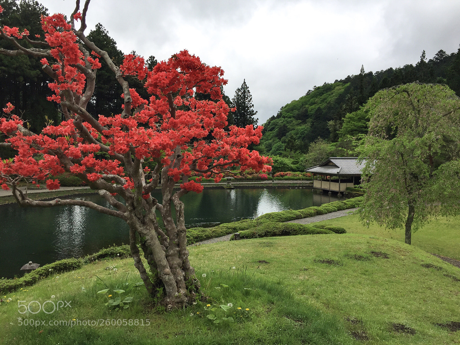 Apple iPhone 6 sample photo. Nikko japanese garden photography