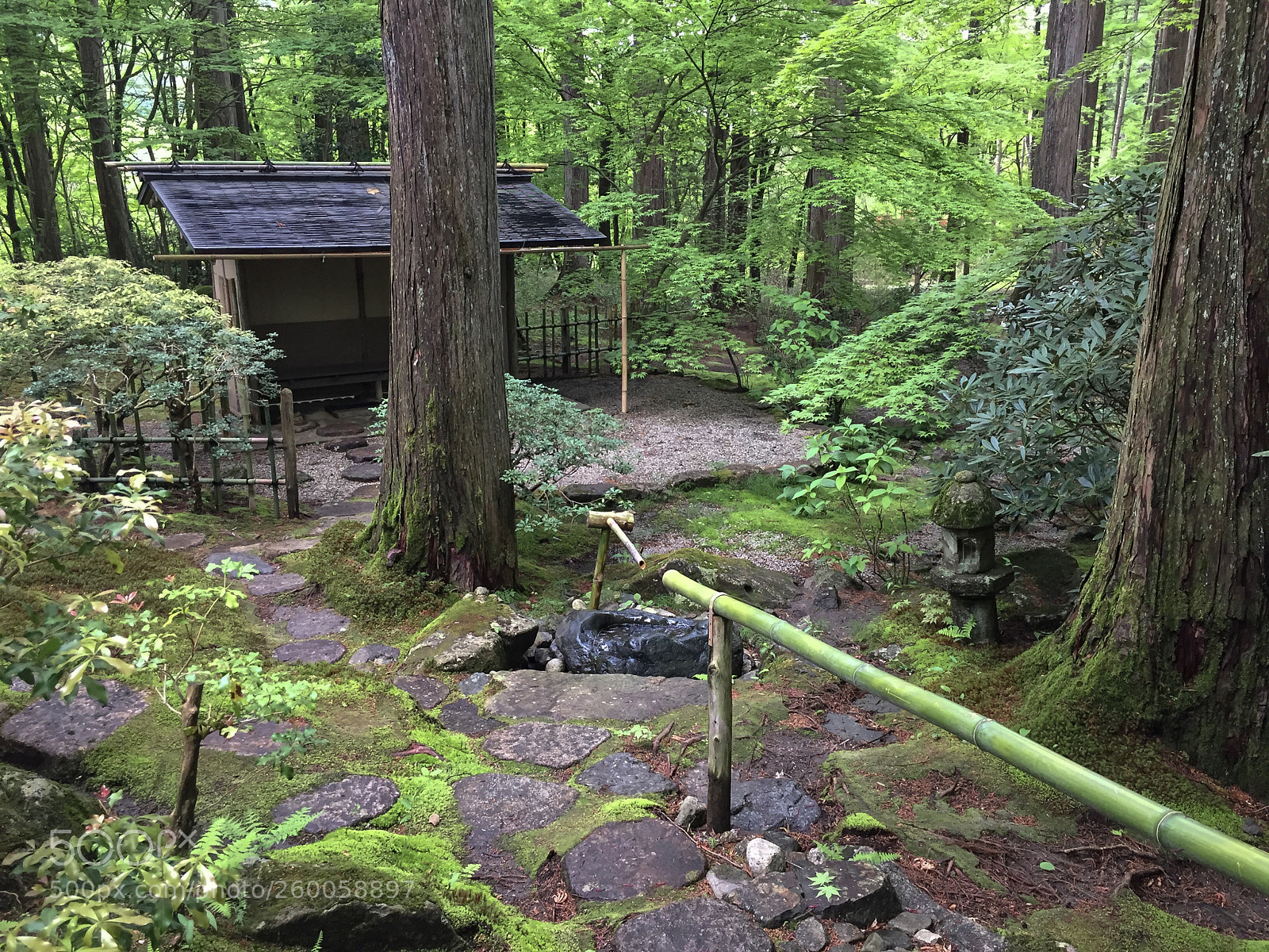 Apple iPhone 6 sample photo. Nikko japanese garden photography