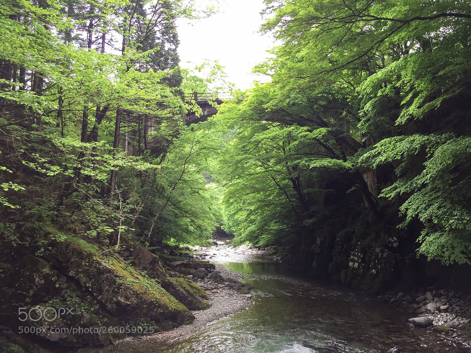 Apple iPhone 6 sample photo. Nikko japanese garden photography