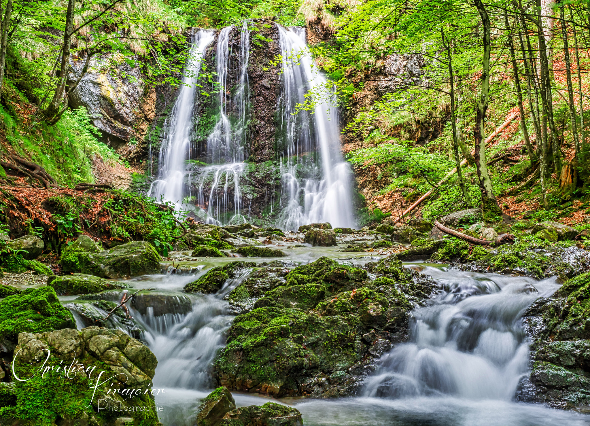 Olympus OM-D E-M10 III sample photo. Somewhere in the woods photography