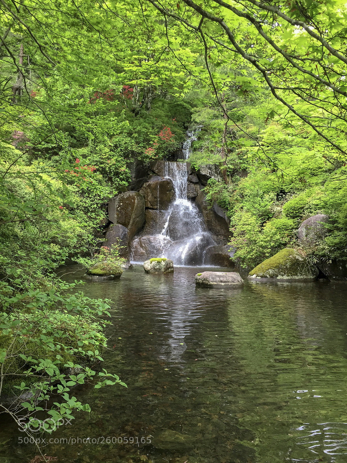 Apple iPhone 6 sample photo. Nikko japanese garden photography