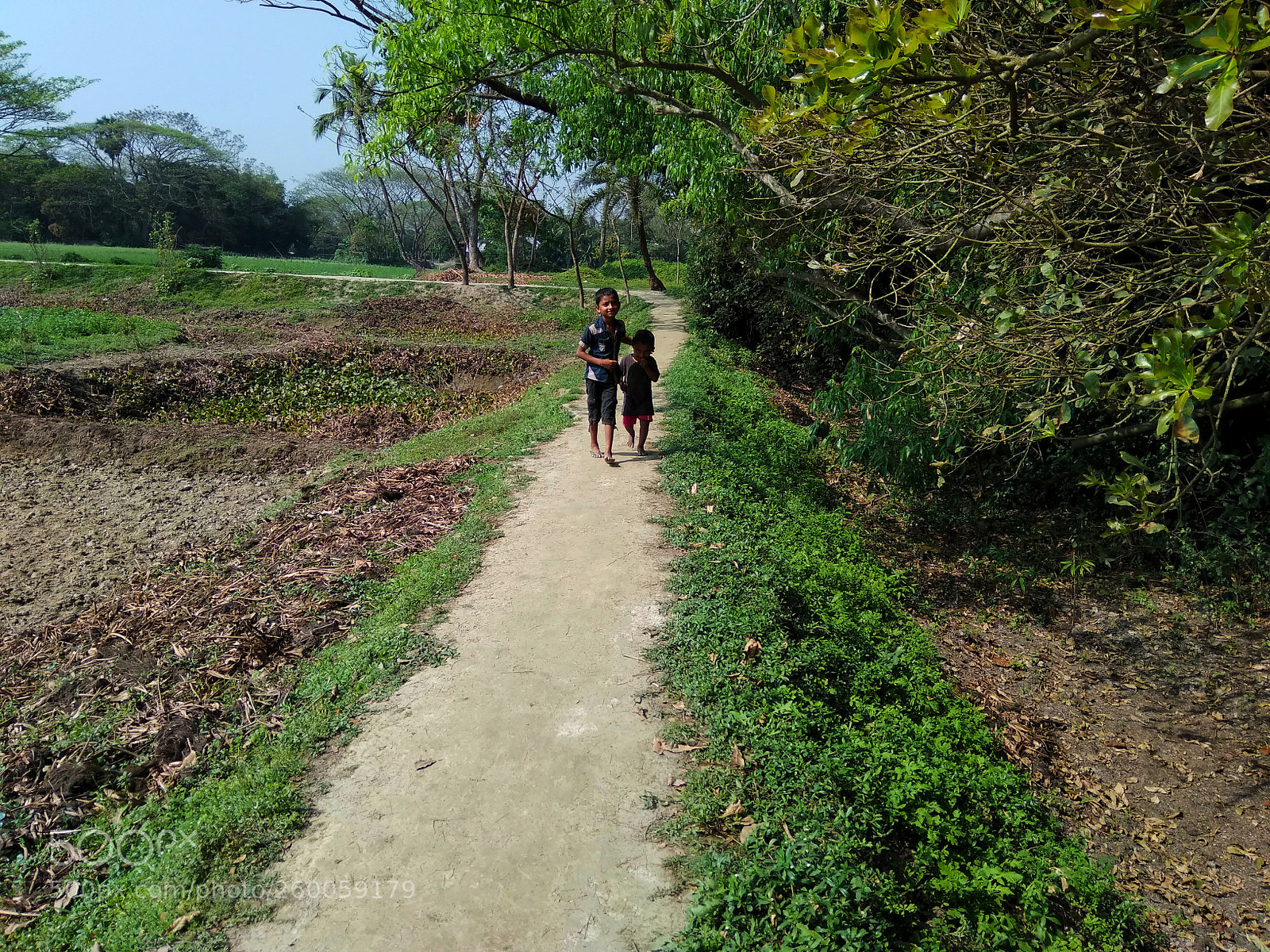 Xiaomi Redmi Note 4 sample photo. Untitled photography